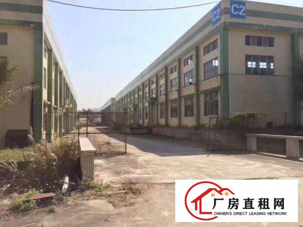 
坪地单一层标准厂房招租