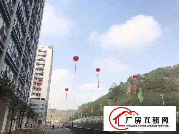 
龙岗坪地政策扶持，招商智能装备，可穿戴装备，制造技术