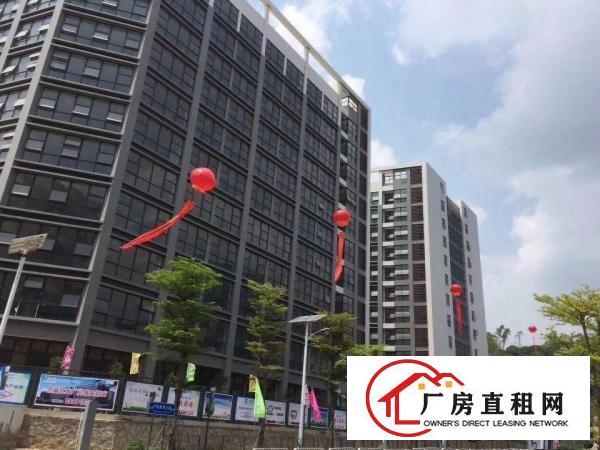 
龙岗坪地政策扶持，招商智能装备，可穿戴装备，制造技术