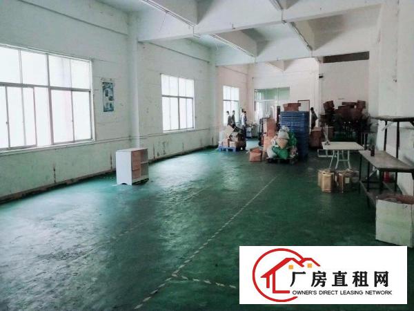 
坪地附近新出标准厂房1230平方超低格出租面积大小可分租