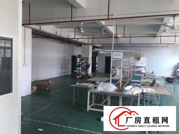 
坪地附近新出标准厂房1230平方超低格出租面积大小可分租
