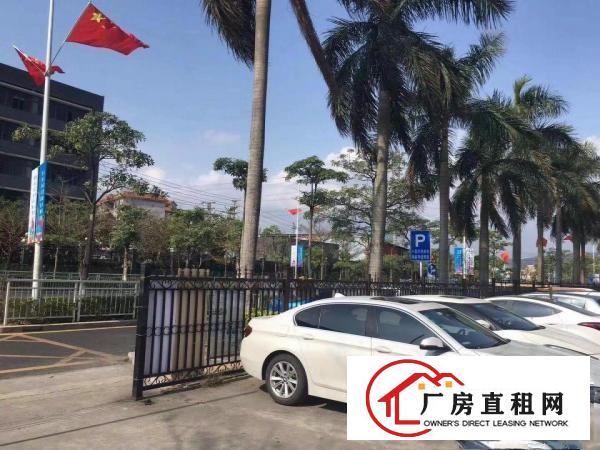 
坪地附近新出标准厂房1230平方超低格出租面积大小可分租