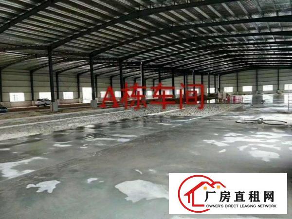 
年丰高速路口5000平钢构厂房可分租交通方便