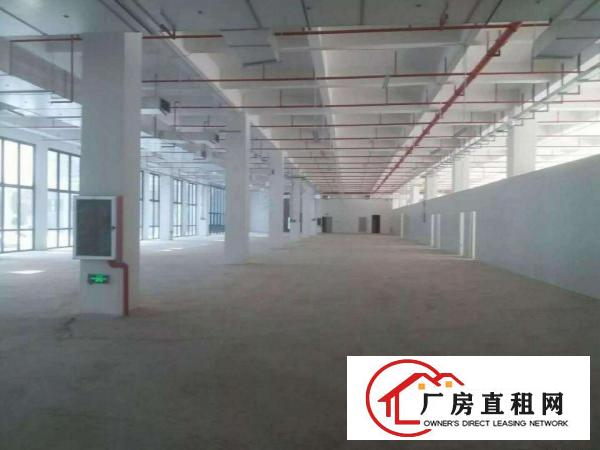 
出租坪地工业区独门独院厂房5000平可分租交通方便