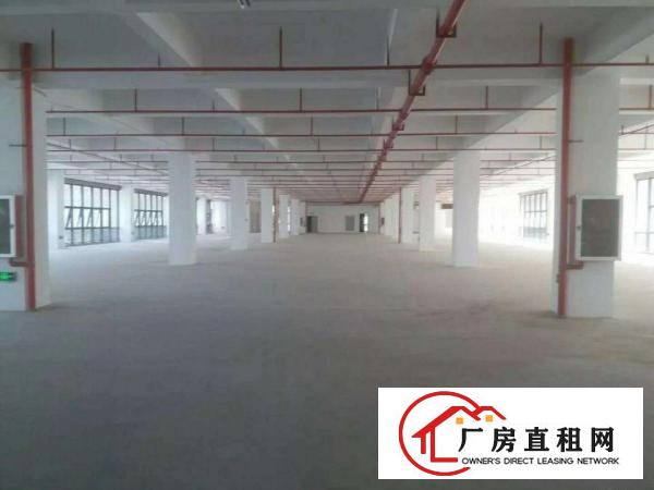 
出租坪地工业区独门独院厂房5000平可分租交通方便