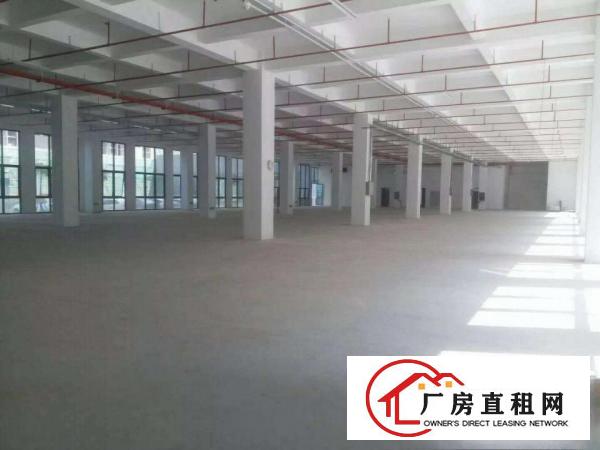 
出租坪地工业区独门独院厂房5000平可分租交通方便