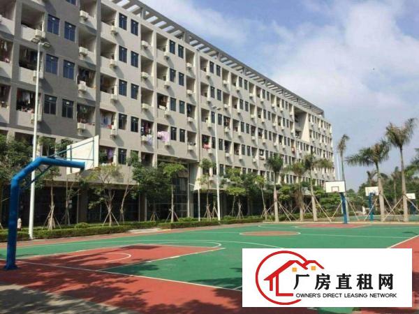 
出租坪地工业区独门独院厂房5000平可分租交通方便