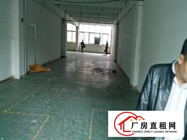 
龙岗坪地600平厂房带装修地坪漆空地超大