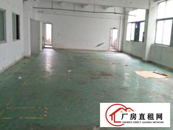 
龙岗坪地600平厂房带装修地坪漆空地超大