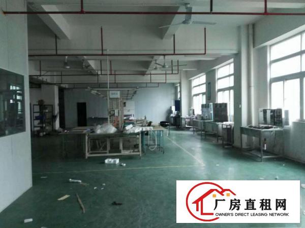 
龙岗坪地新出二楼1230平方汽车站边带精装修厂房