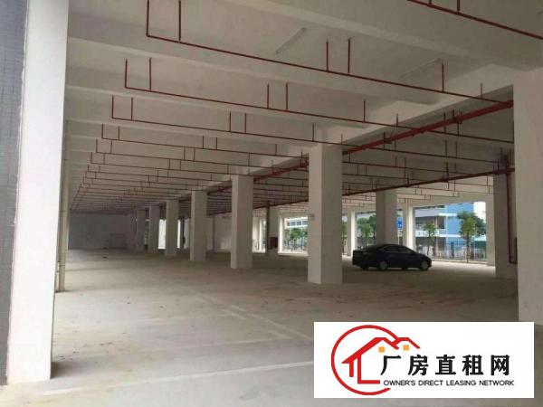 
龙岗坪地低碳城德国小镇厂房出租与上市公司做邻居