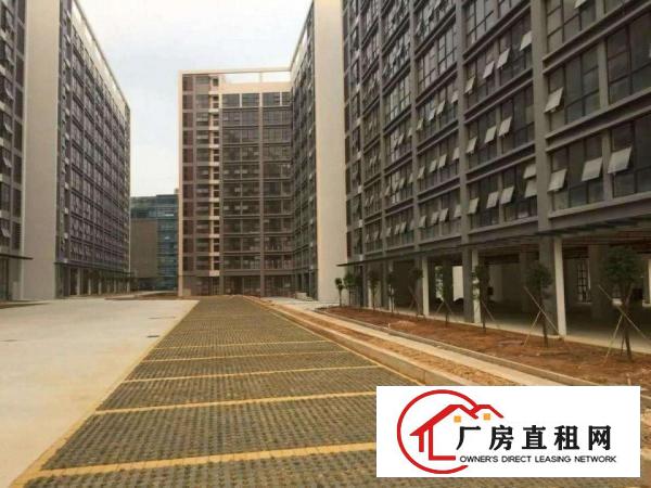 
龙岗坪地低碳城德国小镇厂房出租与上市公司做邻居