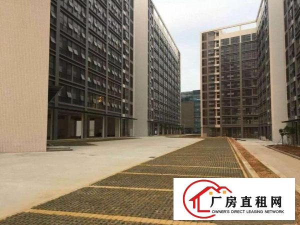 
龙岗坪地低碳城德国小镇厂房出租与上市公司做邻居