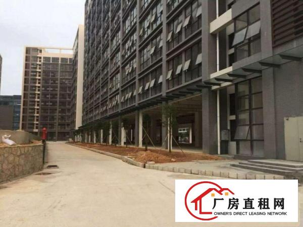 
龙岗坪地低碳城德国小镇厂房出租与上市公司做邻居