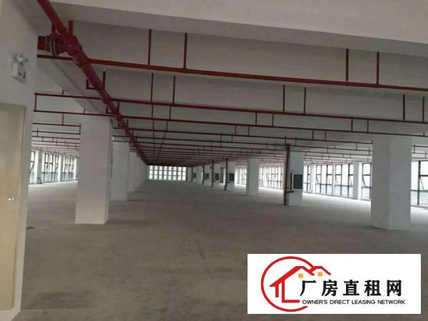 
龙岗坪地低碳城德国小镇厂房出租与上市公司做邻居