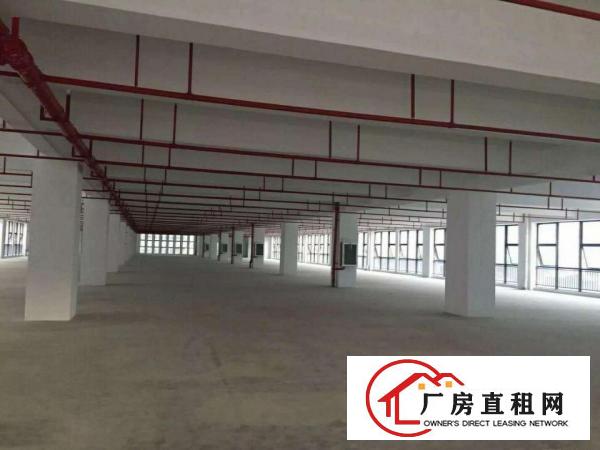 
龙岗坪地低碳城德国小镇厂房出租与上市公司做邻居