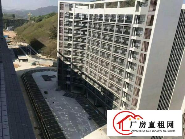 
坪地低碳产业园带红本分栋、分层及政府3 2补贴招租