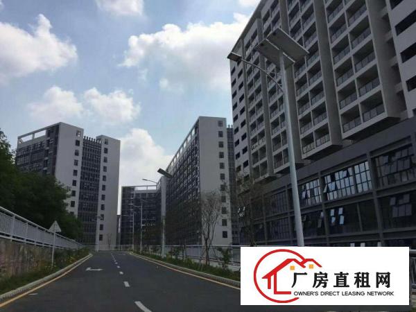 
坪地低碳产业园带红本分栋、分层及政府3 2补贴招租