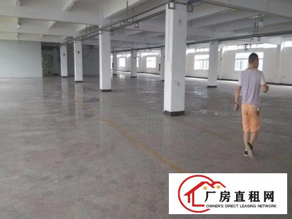
龙岗坪地新出5600平独院标准厂房出租