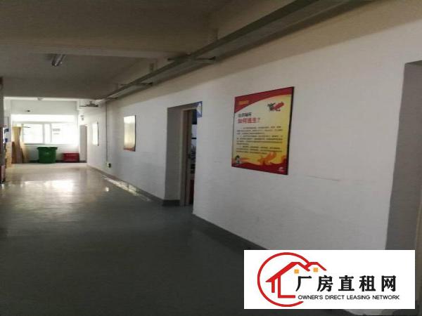 
业主直租龙岗2千平方厂房研发，科室，办公适用