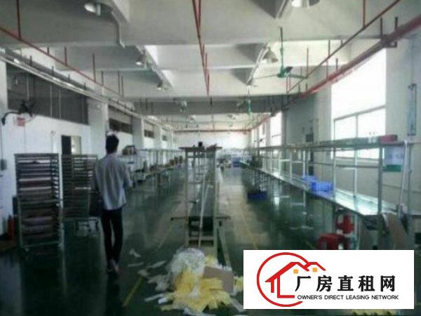 
出租龙岗区坪地高速出口附近