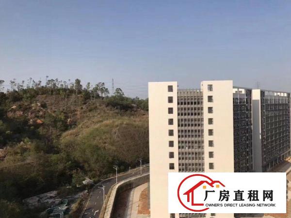 
出租)龙岗坪地低碳城德国小镇旁厂房出租可做研发医疗设