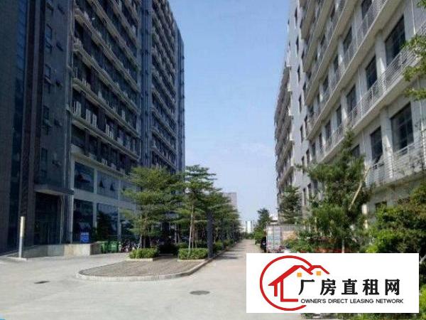 
业主直租龙岗坪地独门独院厂房1200平方适合科研，办公