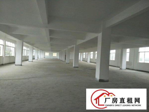 
坪地北通道100米厂房3250平米