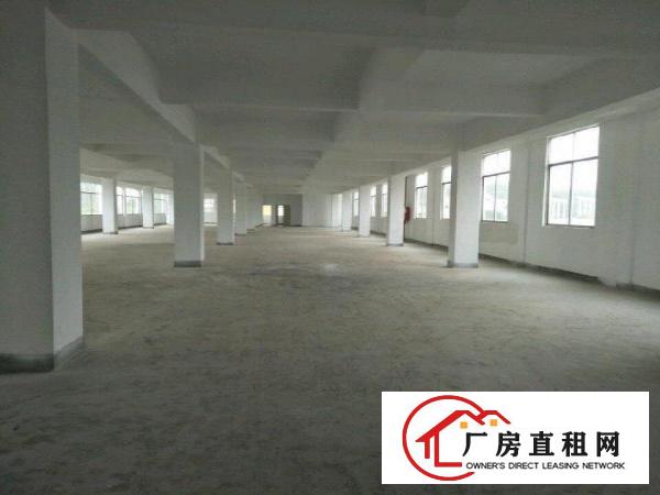 
坪地北通道100米厂房3250平米