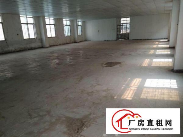 
龙岗坪地新出400㎡标准厂房二楼出租