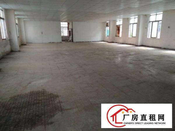 
龙岗坪地新出400㎡标准厂房二楼出租