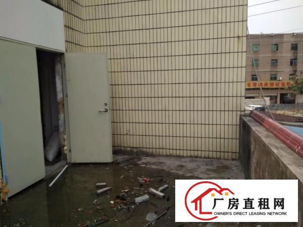 
龙岗坪地新出400㎡标准厂房二楼出租
