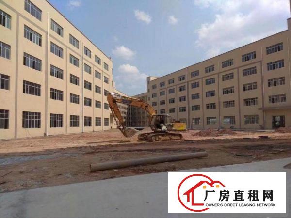 
业主直租！坪地独院靓盘25000平底价出租