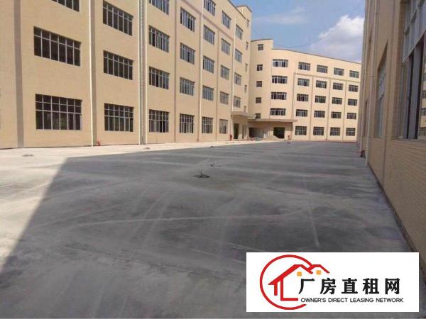 
业主直租！坪地独院靓盘25000平底价出租