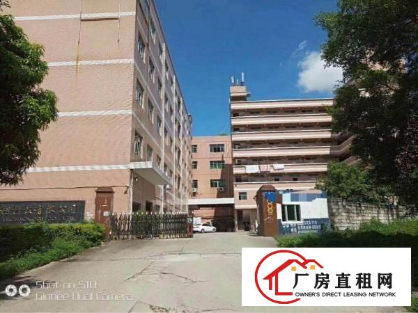 
坪地低碳城2800平米精装修厂房出租可分租