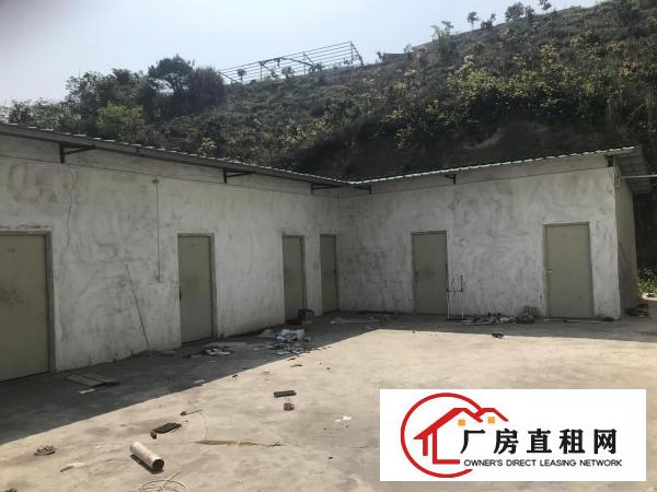 
出租龙岗区坪地滴水6米可做油漆、化工、塑胶、工业品等价格美丽