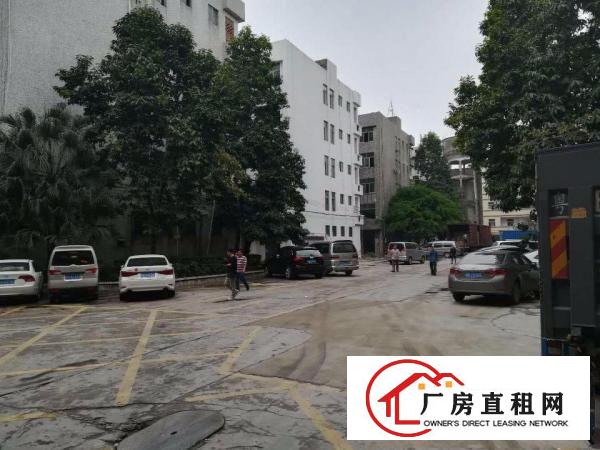 
龙岗区坪地，新出独院厂房4800平房，环境