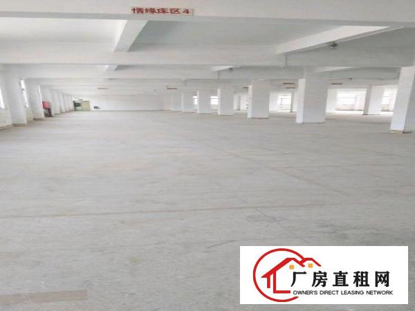 
坪地坪西工业厂房4800平米出租
