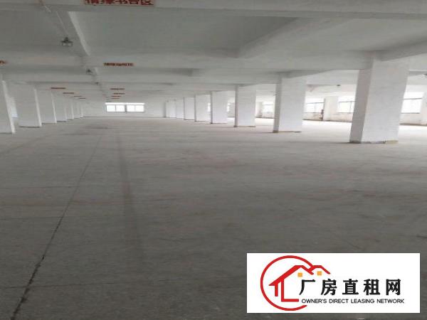 
坪地坪西工业厂房4800平米出租
