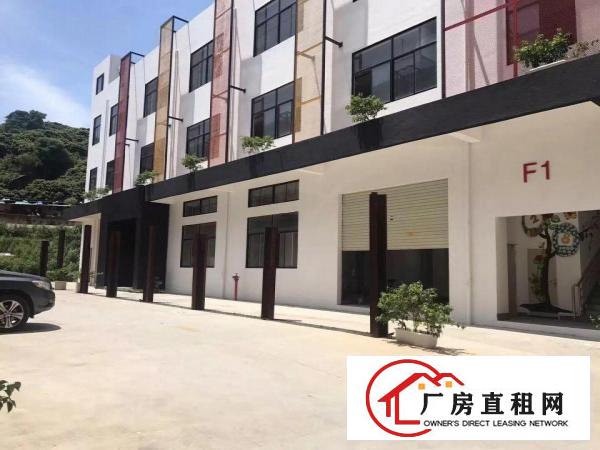 
龙岗坪地低碳城产业园独院厂房适合做上市公司医院