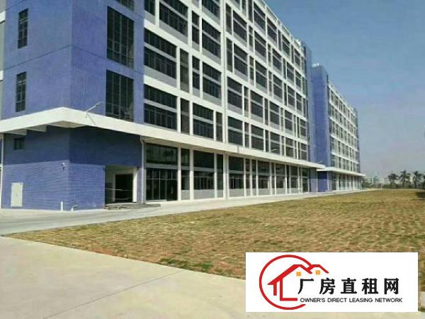 
龙岗坪地低碳工业园旁全新厂房招租适合科研，办公，轻工业