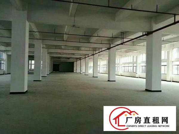 
龙岗坪地低碳工业园旁全新厂房招租适合科研，办公，轻工业