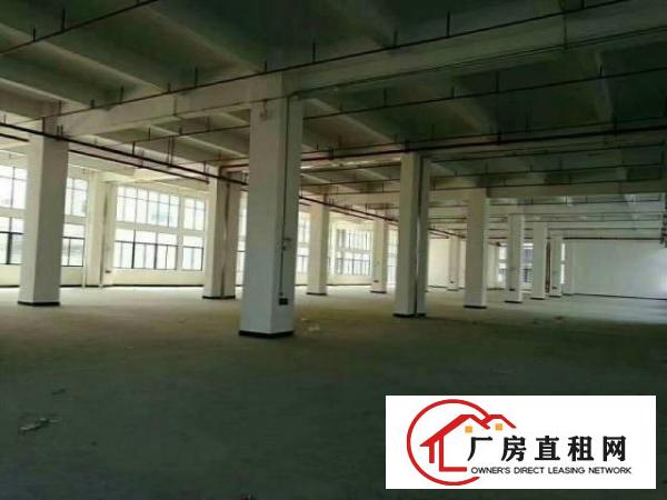 
龙岗坪地低碳工业园旁全新厂房招租适合科研，办公，轻工业