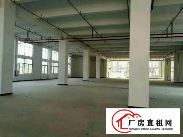 
龙岗坪地低碳工业园旁全新厂房招租适合科研，办公，轻工业