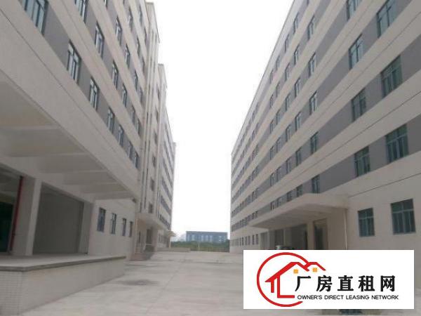 
龙岗坪地15万平方新厂房招租带地下车库层高4.5米