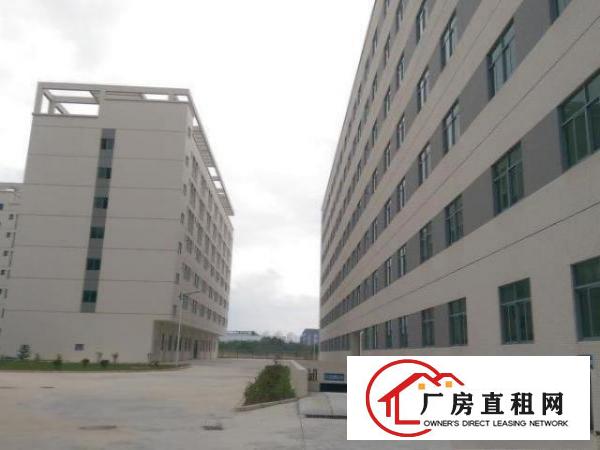 
龙岗坪地15万平方新厂房招租带地下车库层高4.5米
