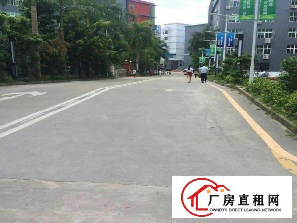 
龙岗区坪地国际低碳城3千平方厂房出租标准厂房招工容易形象好