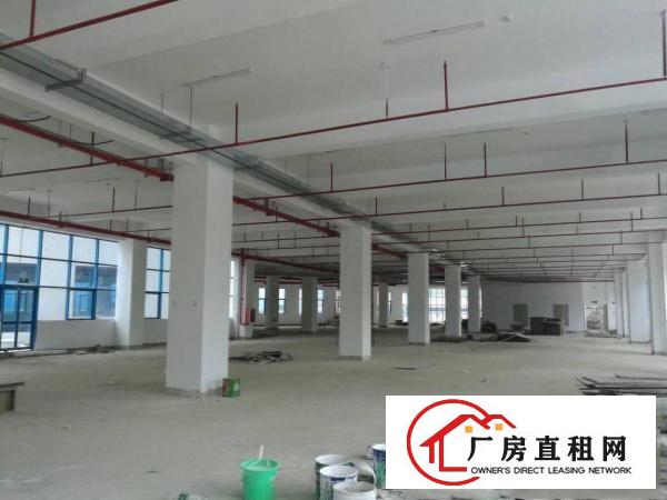 
龙岗坪地国际低碳城工业园8千平方标准厂房招租适合科研，办公