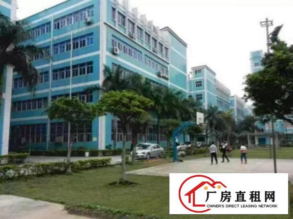 
出租龙岗坪地国际低碳城工业园招商1千平米分租适合科研，办公