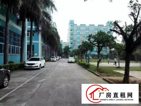 
出租龙岗坪地国际低碳城工业园招商1千平米分租适合科研，办公